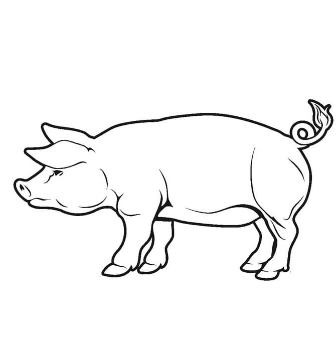 Dessin de Cochon coloring page