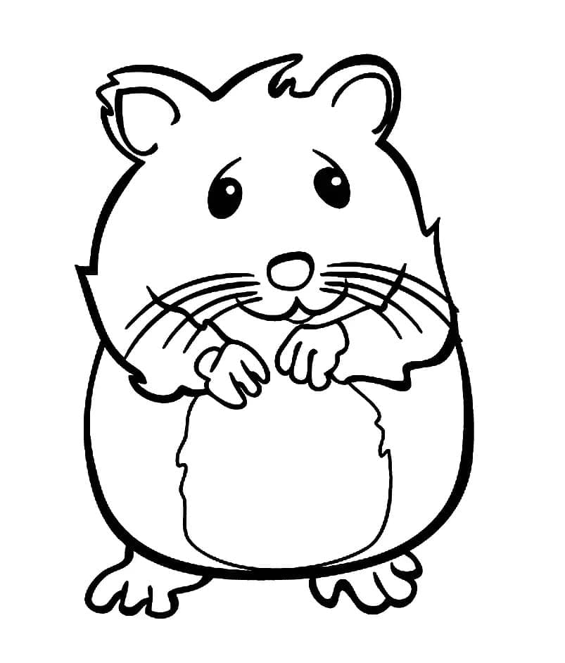 Dessin de Hamster coloring page