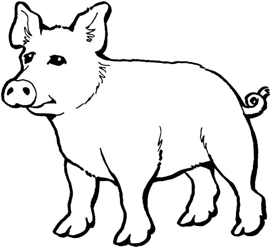 Dessin Gratuit de Cochon coloring page