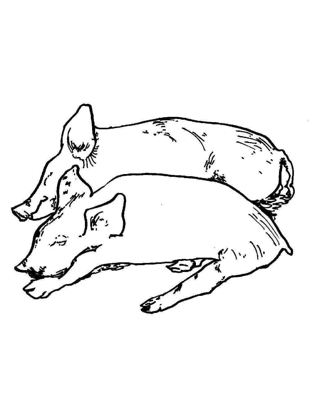 Deux Cochons Endormis coloring page