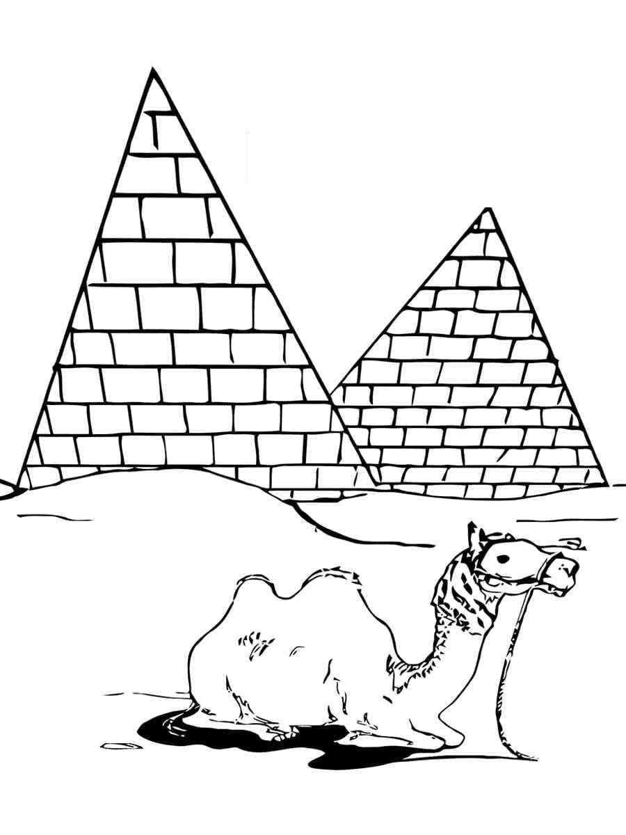 Coloriage Deux pyramides et Un Chameau