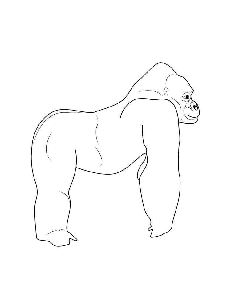Coloriage Gorille 3
