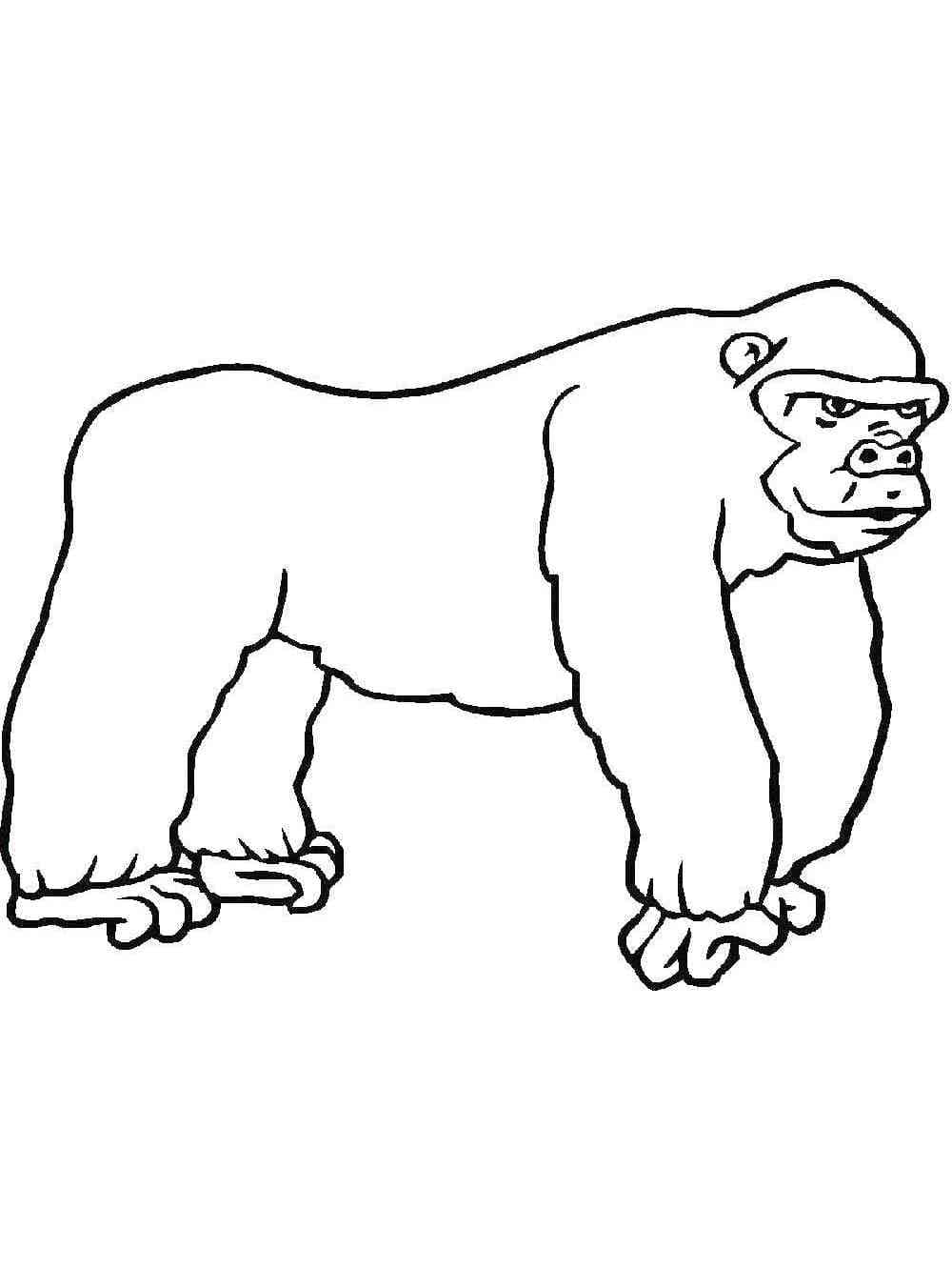 Coloriage Gorille 6
