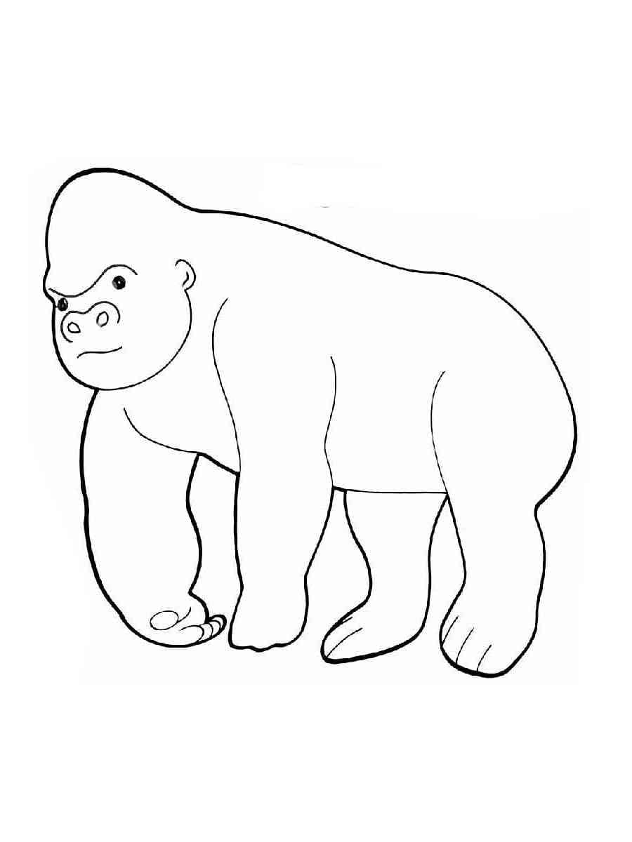 Coloriage Gorille Simple