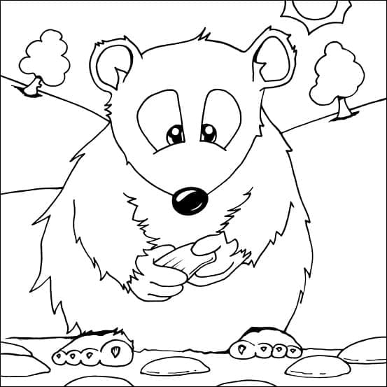 Coloriage Gros Hamster