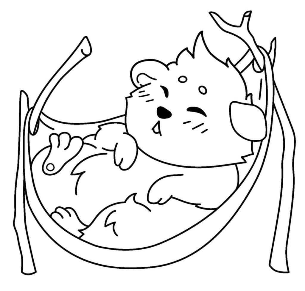 Hamster Endormi coloring page