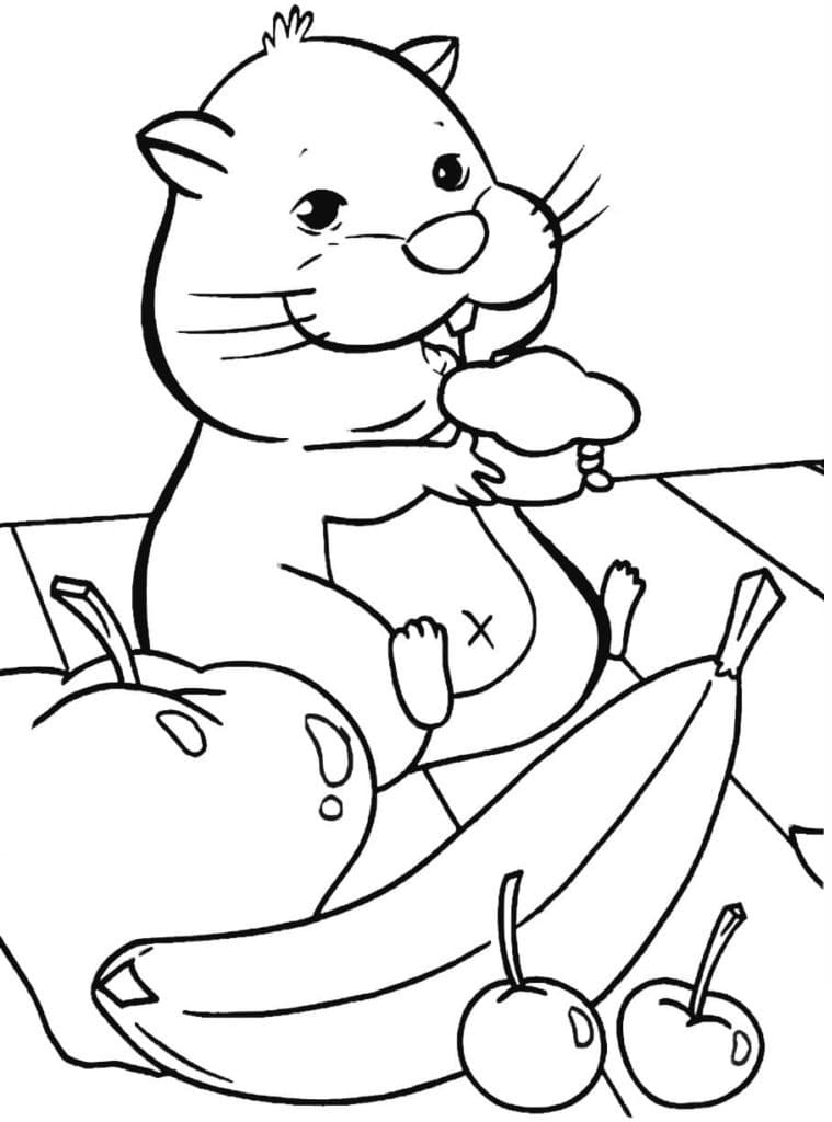 Hamster et Fruits coloring page
