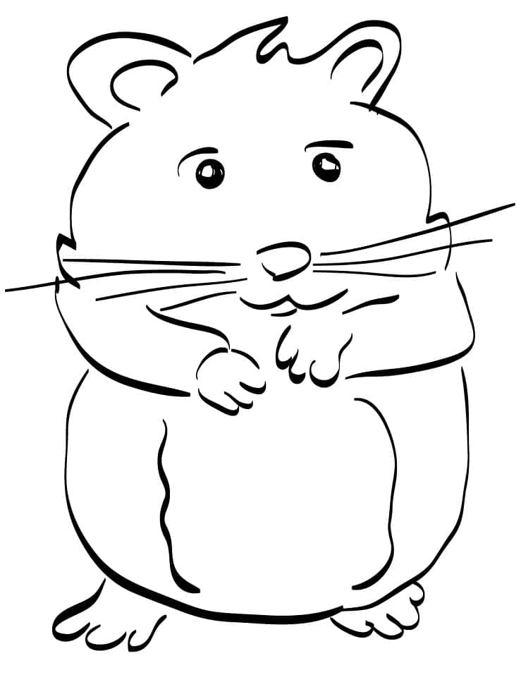Hamster Gratuit coloring page