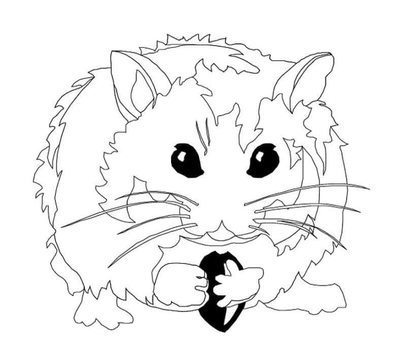 Hamster Pour Enfants coloring page