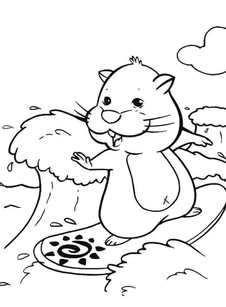 Coloriage Hamster Surfe
