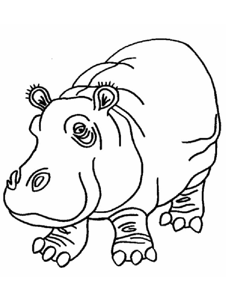 Coloriage Hippopotame Pour Enfants