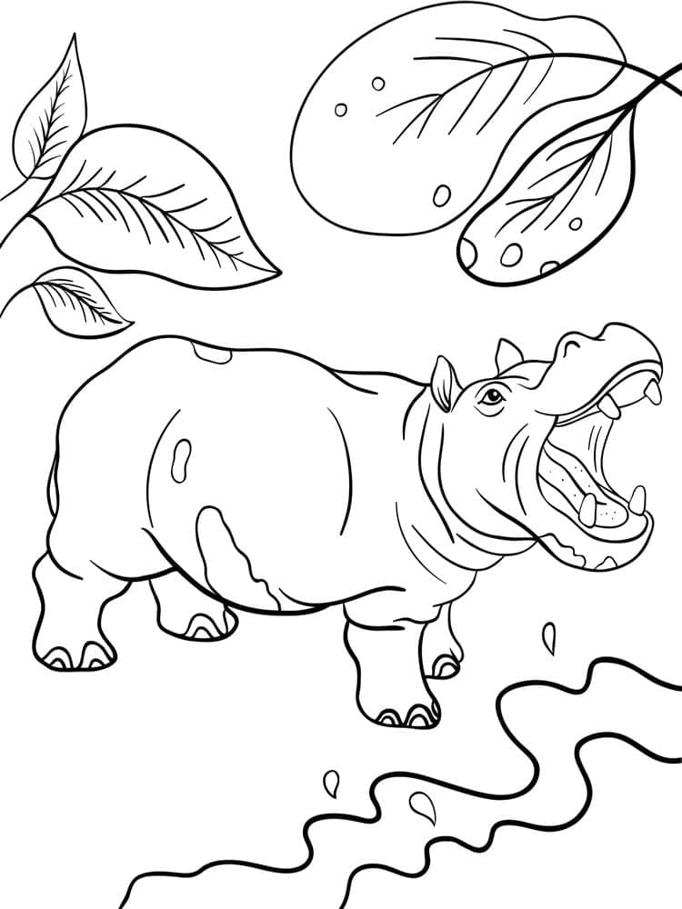 Coloriage Image de Hippopotame