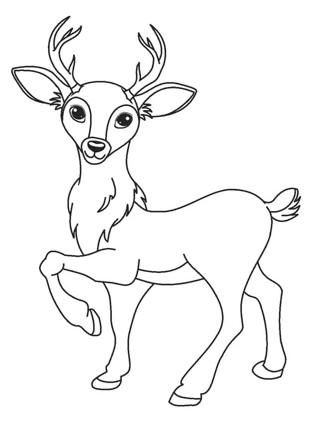 Joli Cerf coloring page