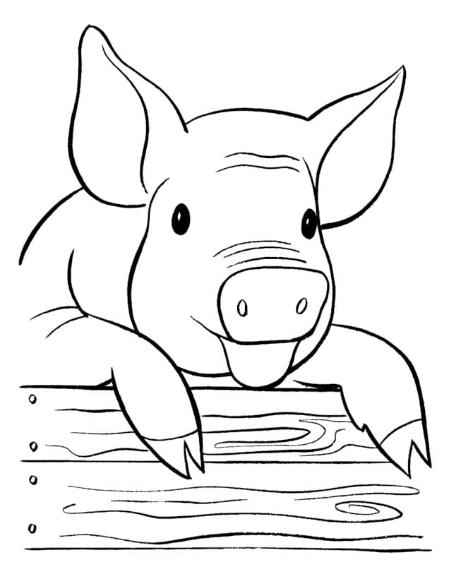 Le Cochon coloring page