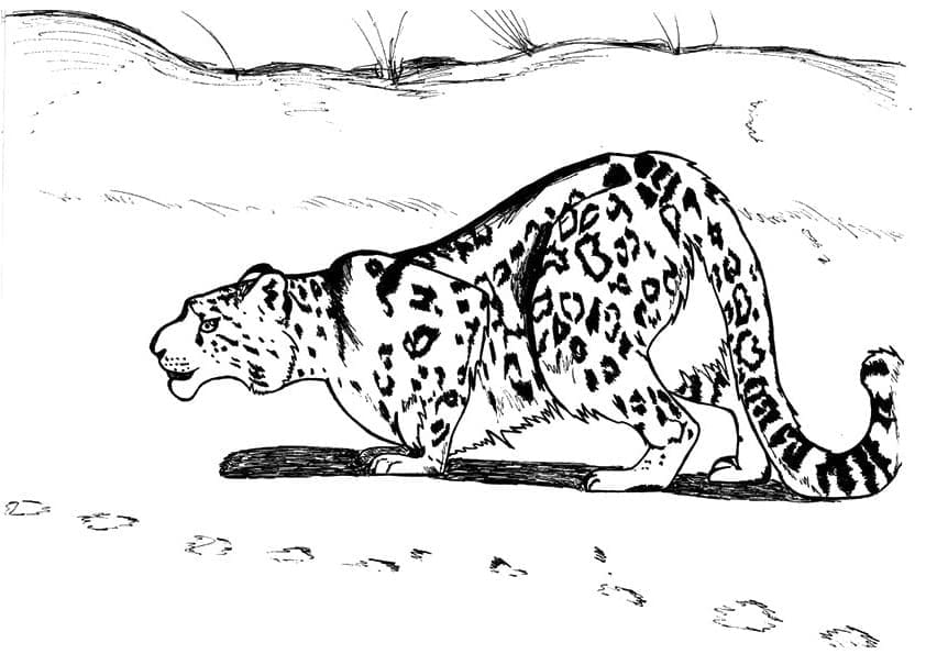 Léopard Chasse coloring page
