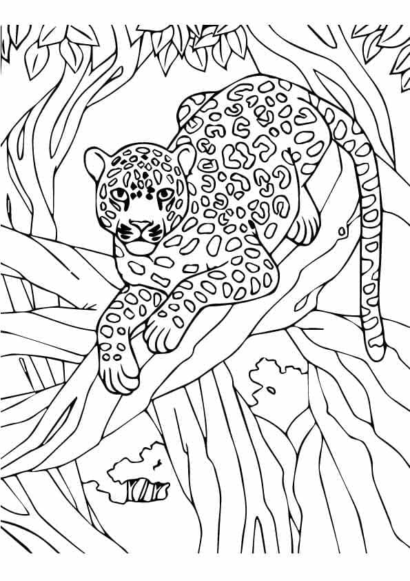 Léopard Sauvage coloring page