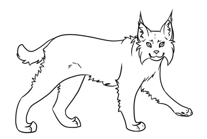 Coloriage Lynx 6