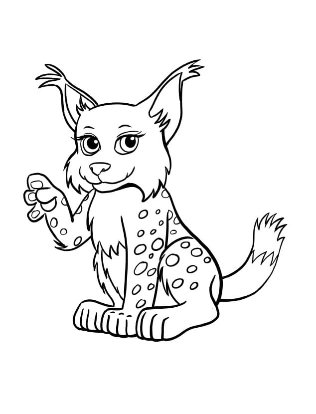 Coloriage Lynx de Dessin Animé