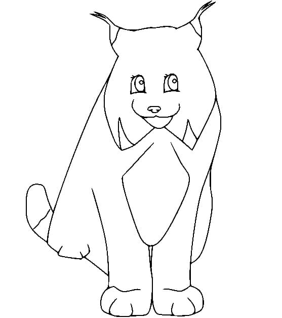 Coloriage Lynx Simple