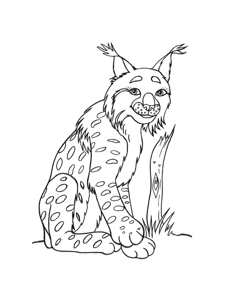 Coloriage Lynx Souriant