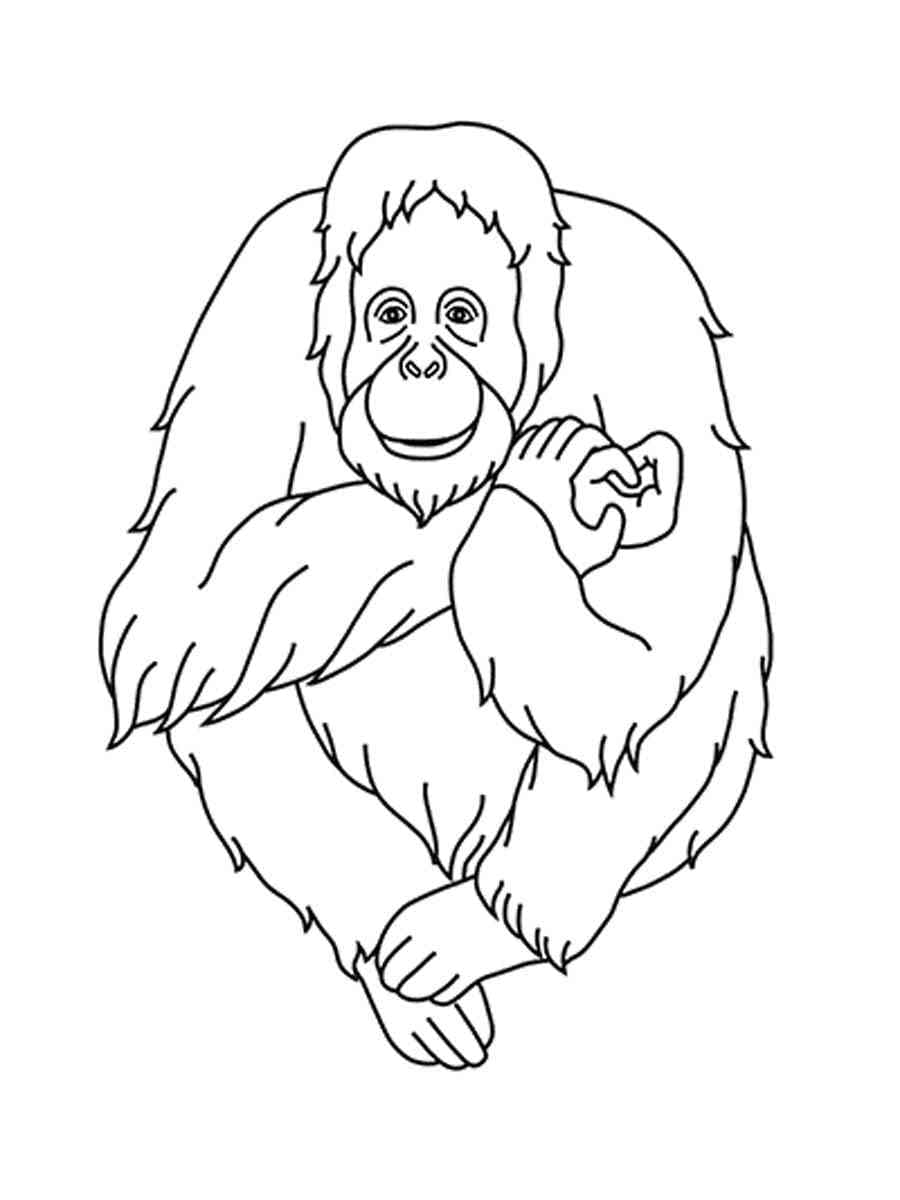 Orang-outan Gratuit Pour les Enfants coloring page