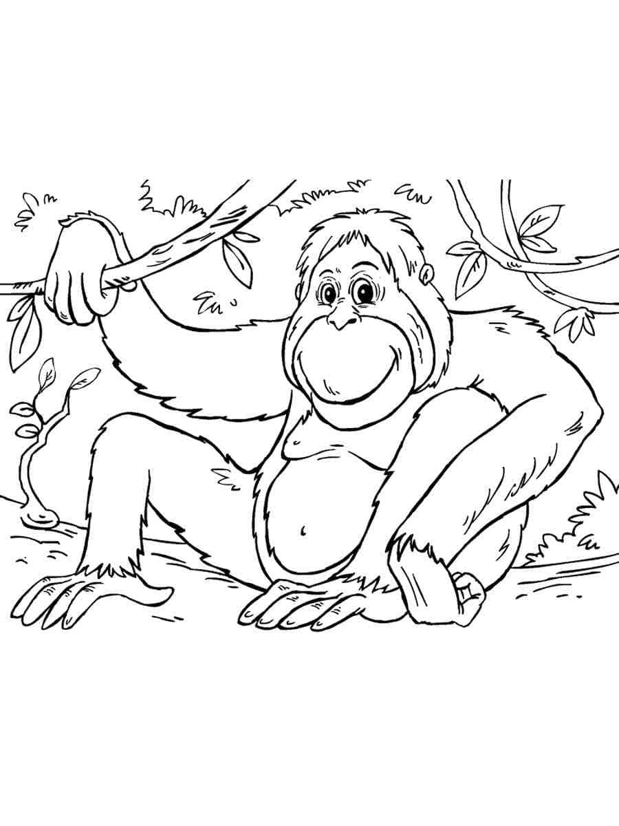 Orang-outan Heureux coloring page