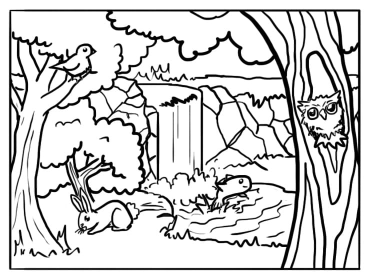 Coloriage Paysage Forestier