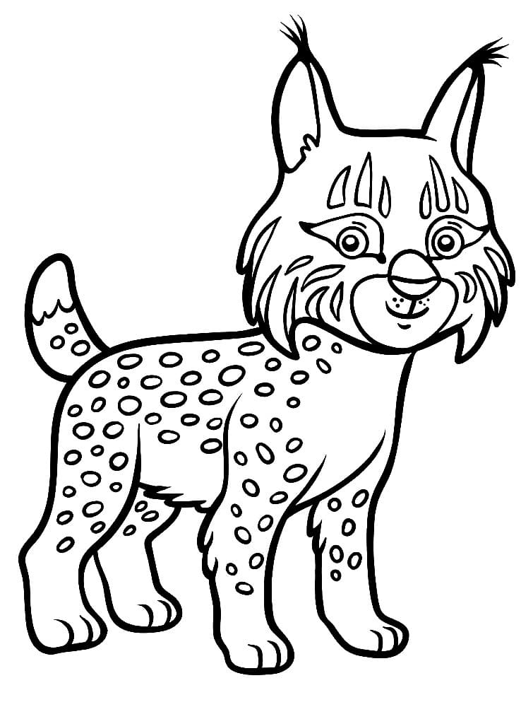 Coloriage Petit Lynx