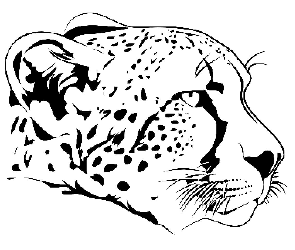 Coloriage Portrait de Guépard