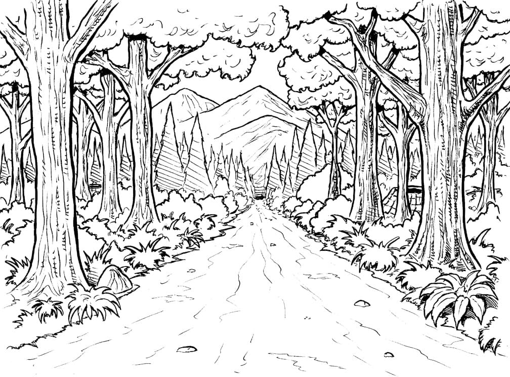 Coloriage Route dans la Forêt
