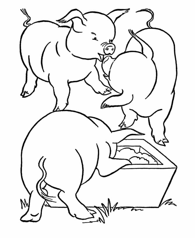 Trois Cochons coloring page