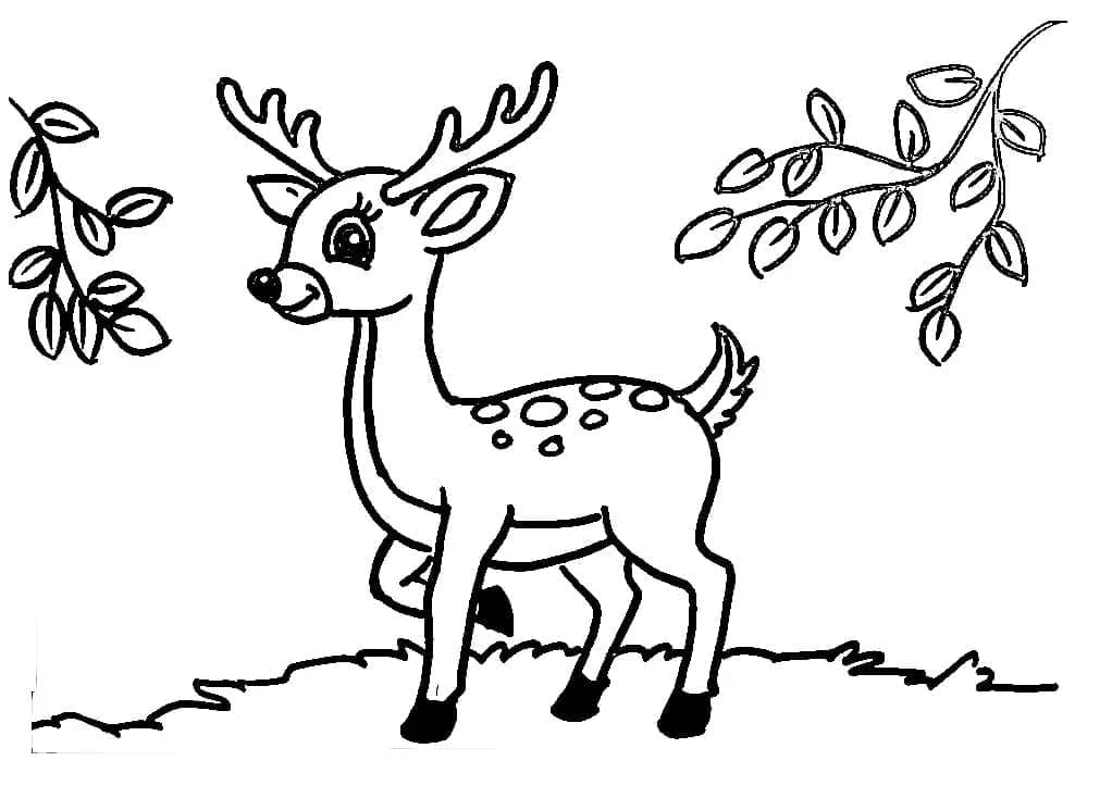 Un Cerf Mignon coloring page