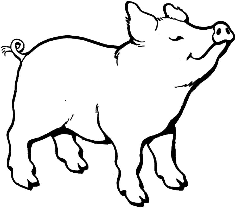 Un Cochon coloring page