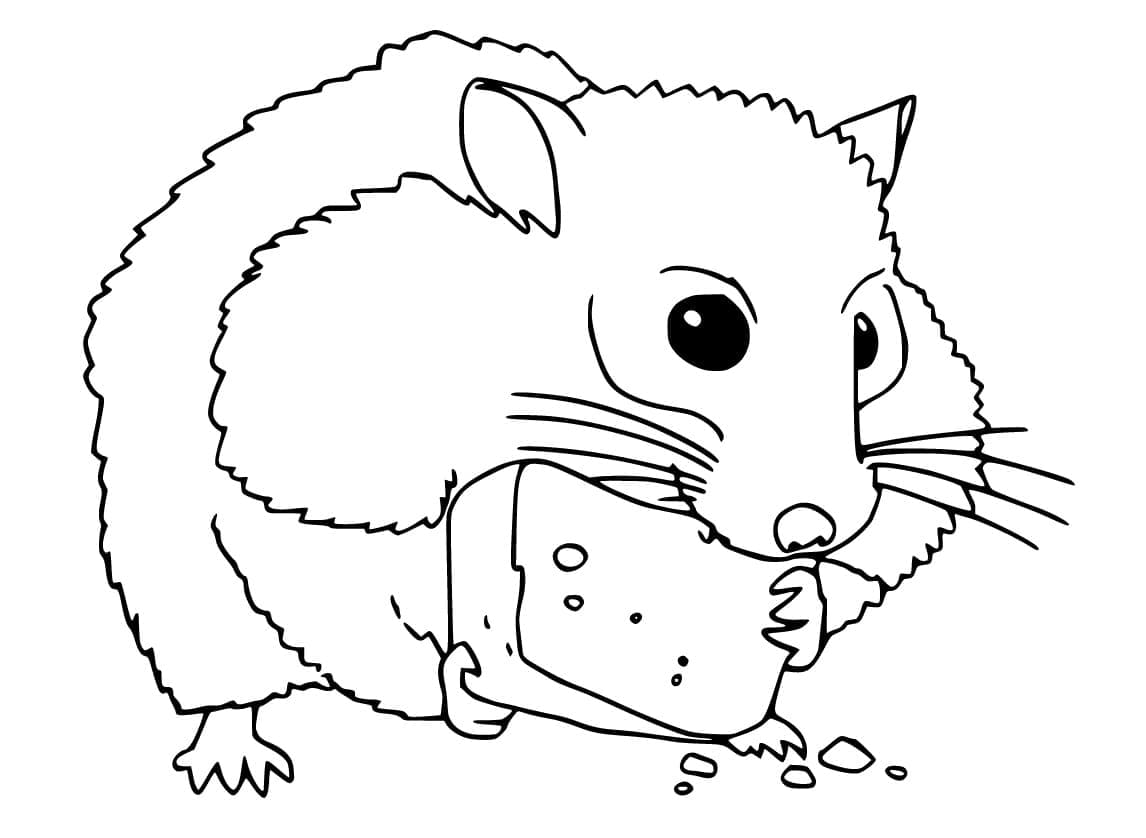 Un Hamster Mange coloring page