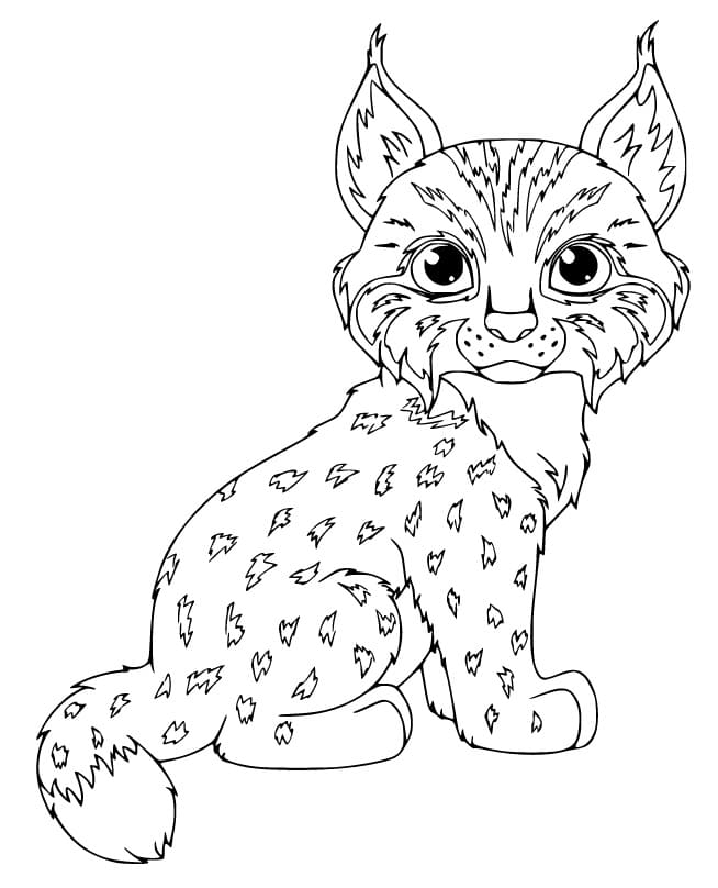 Coloriage Un Lynx Mignon