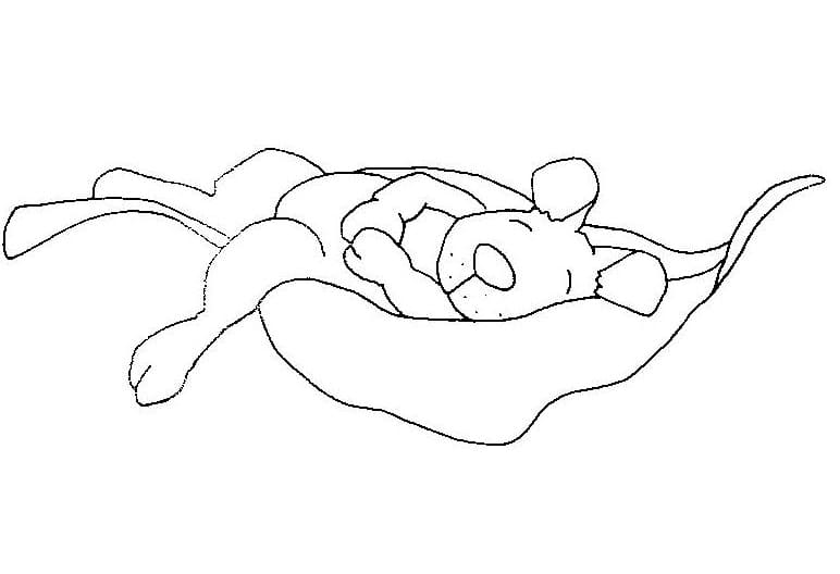 Une Souris Endormie coloring page