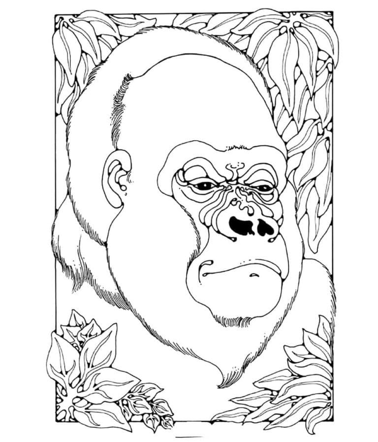 Coloriage Visage de Gorille
