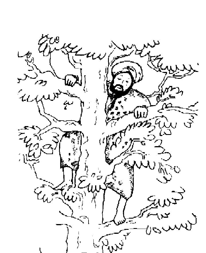 Zachée 7 coloring page