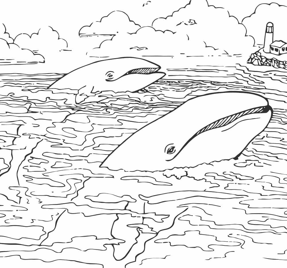 Coloriage Baleines de Mer