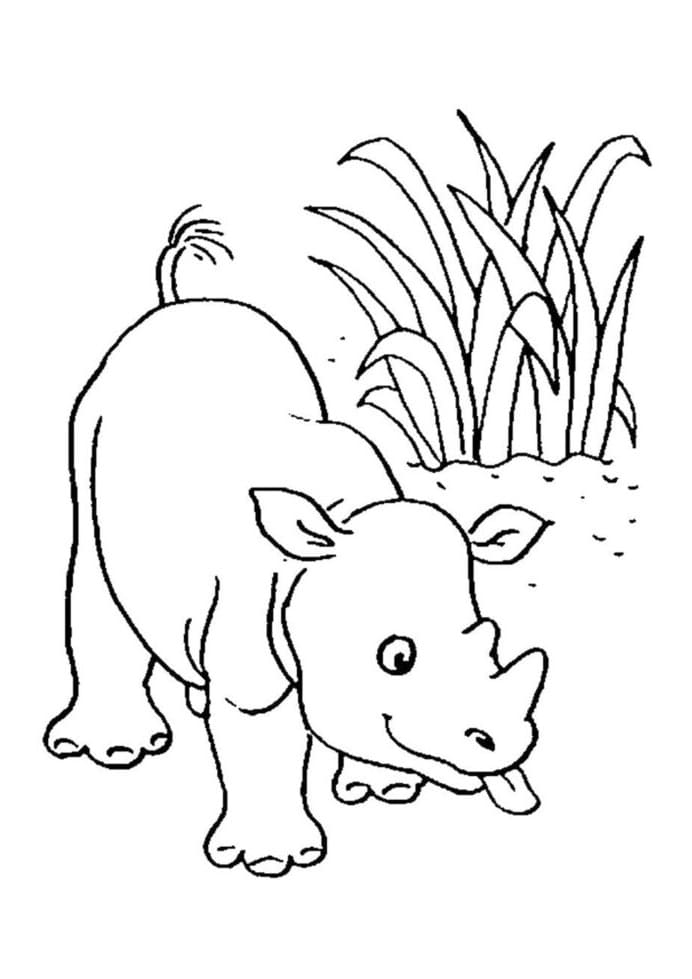 Coloriage Bébé Rhinocéros