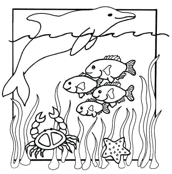 Créatures de la Mer coloring page