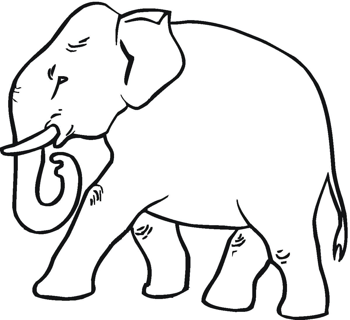 Éléphant d’Asie coloring page