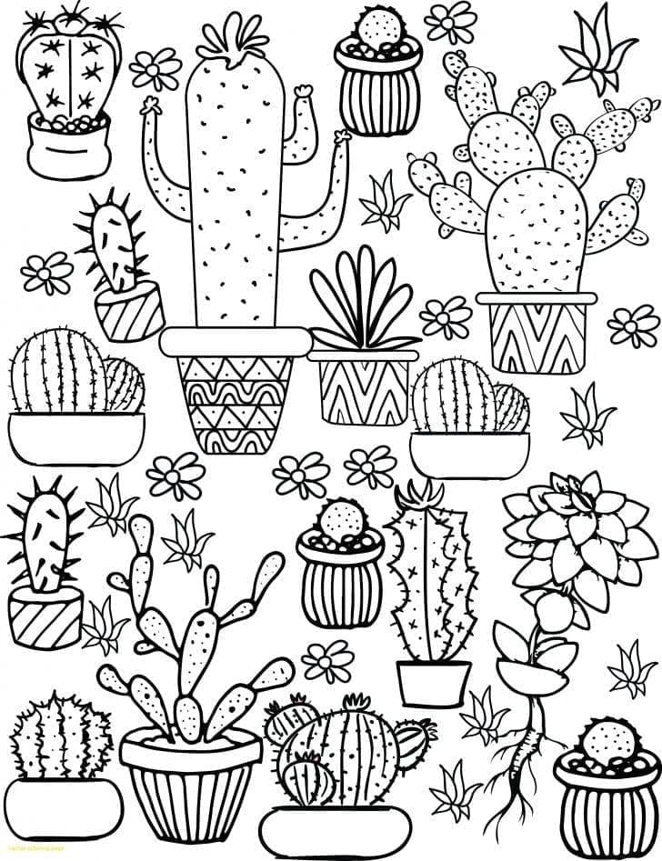Esthétique – Cactus coloring page