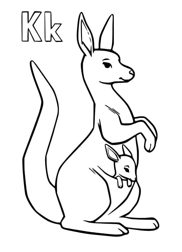 Coloriage Lettre K est Pour Kangourou