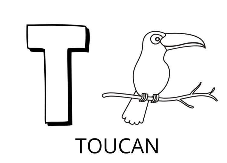 Coloriage Lettre T est Pour Toucan