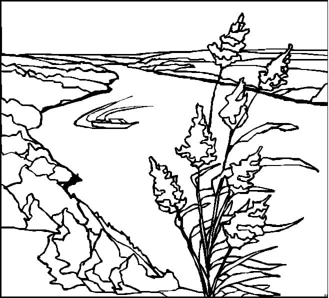 Coloriage Paysage Fluvial
