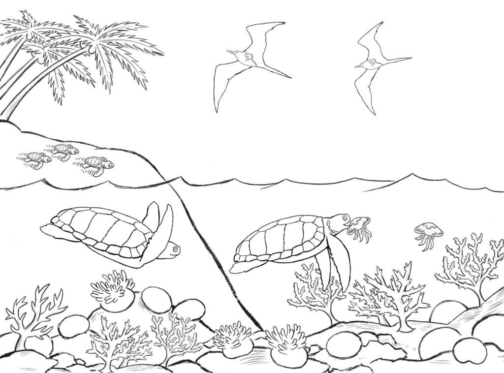 Coloriage Paysage Marin