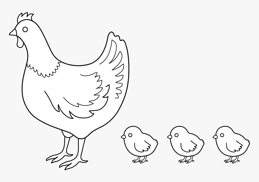 Poule et Poussins Simples coloring page