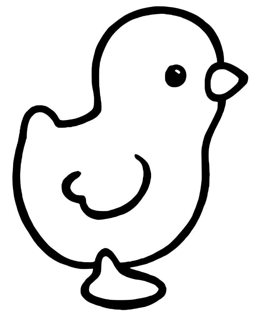 Poussin Facile coloring page