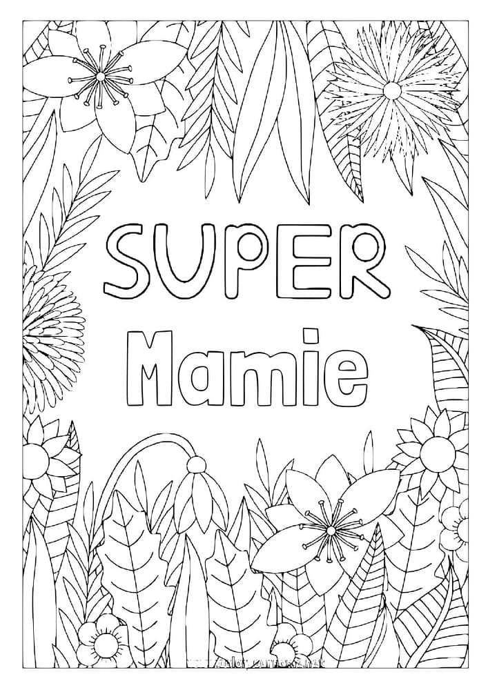Coloriage Super Mamie